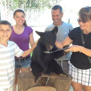 Meet your Posher, Tina